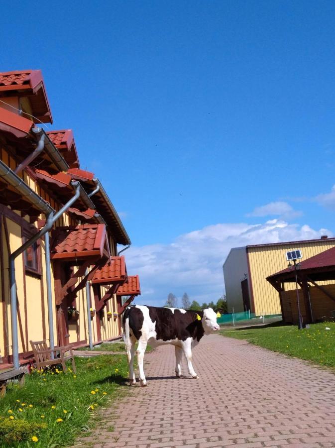 Pensjonat Przy Stajni Kierzkowo  Luaran gambar
