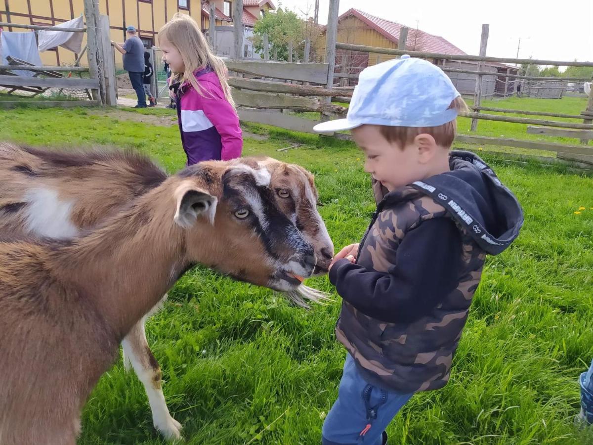 Pensjonat Przy Stajni Kierzkowo  Luaran gambar