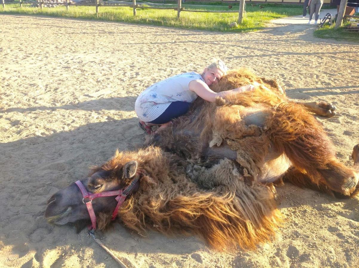 Pensjonat Przy Stajni Kierzkowo  Luaran gambar