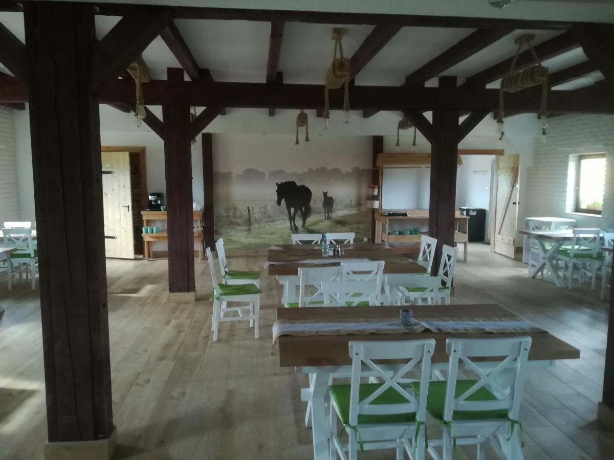 Pensjonat Przy Stajni Kierzkowo  Luaran gambar