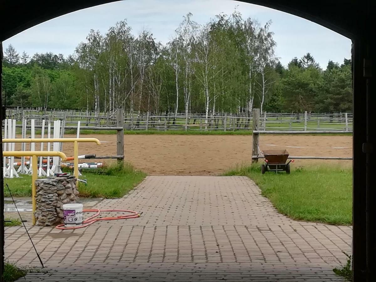 Pensjonat Przy Stajni Kierzkowo  Luaran gambar