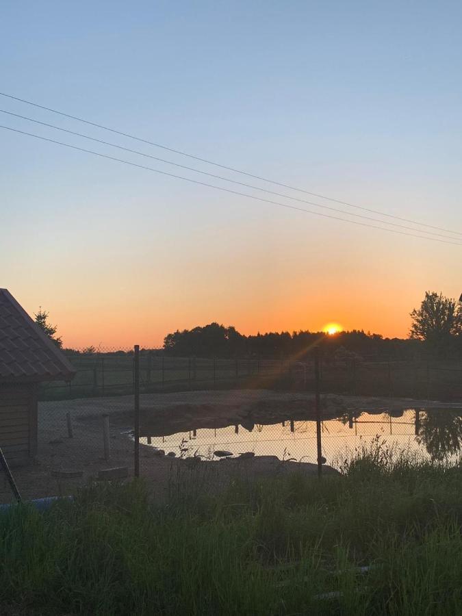 Pensjonat Przy Stajni Kierzkowo  Luaran gambar